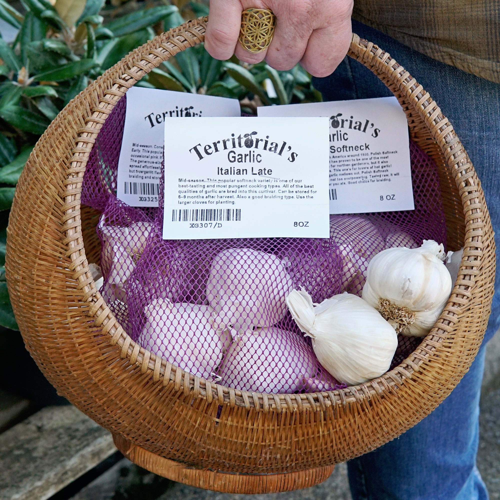 Fresh Style Organic Cultivation Type fresh garlic white garlic bag,China  price supplier - 21food